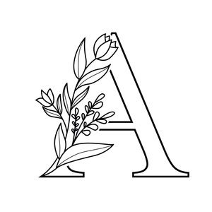 Meet your Posher, Ayla